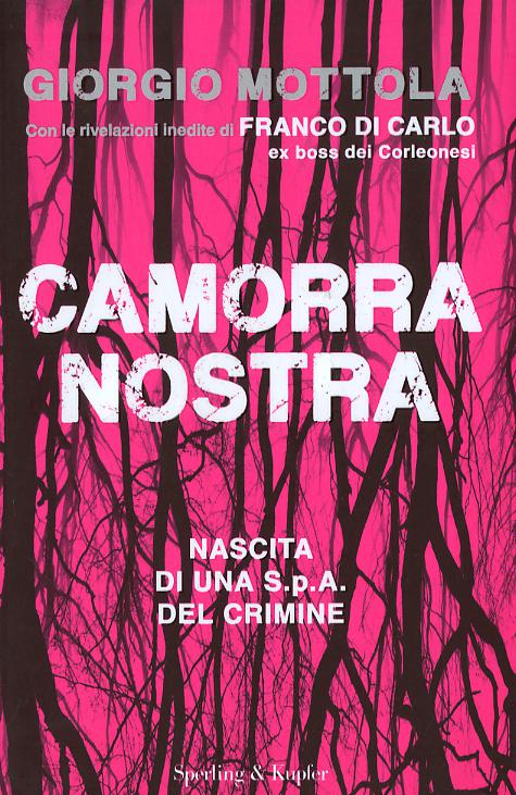 Camorra nostra. Nascita di una S.p.a. del crimine