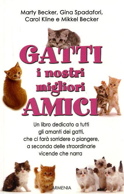 Gatti, i nostri migliori amici