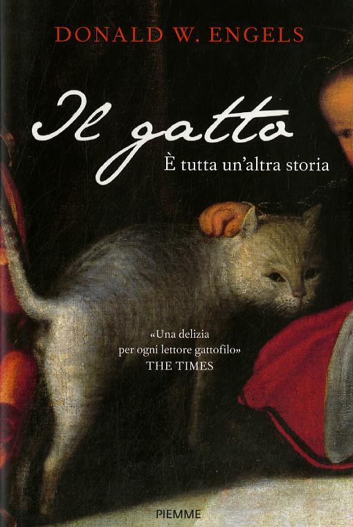 Gatto. È tutta un altra storia