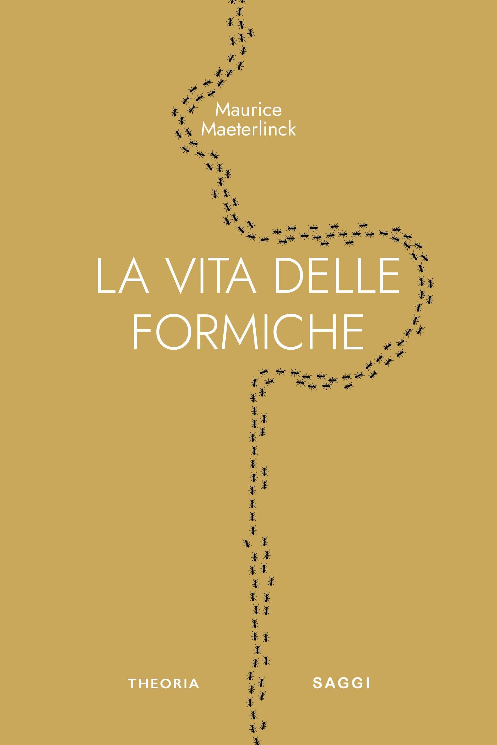 Vita delle formiche