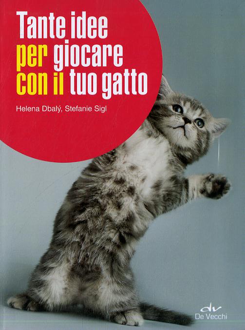 Tante idee per giocare con il tuo gatto