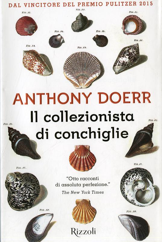 Collezionista di conchiglie