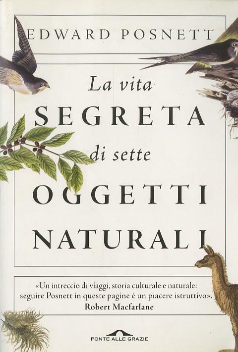 Vita segreta di sette oggetti naturali