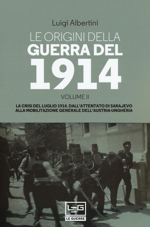 Origini della guerra del 1914