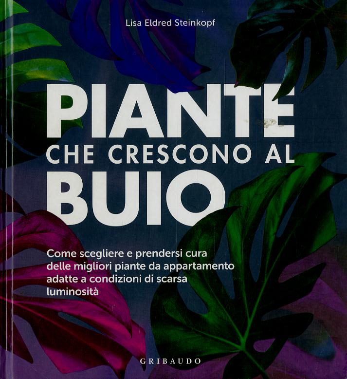 Piante che crescono al buio. Come scegliere e prendersi cura delle migliori piante d appartamento adatte a condizioni di scarsa luminosita