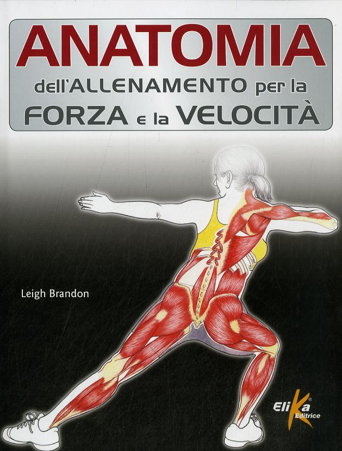 Anatomia dell allenamento per la forza e la velocita