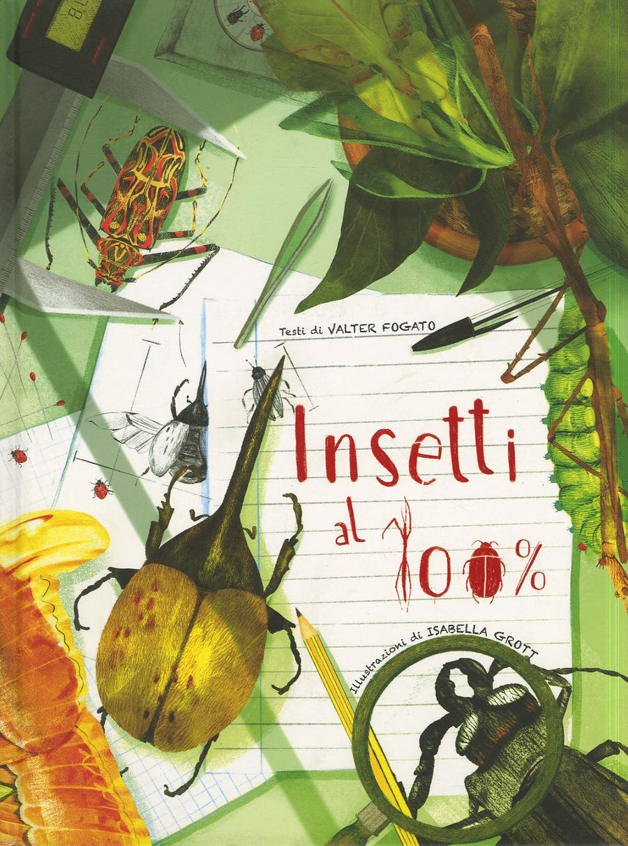 Insetti al 100%