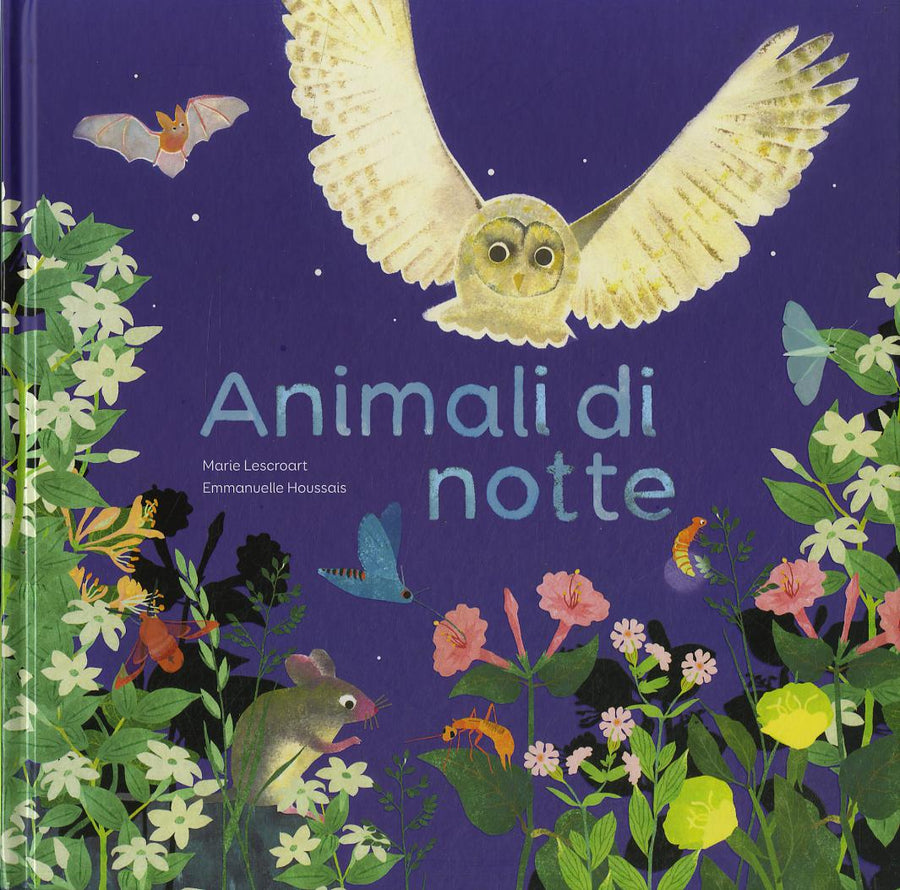 Animali di notte. Ediz. a colori