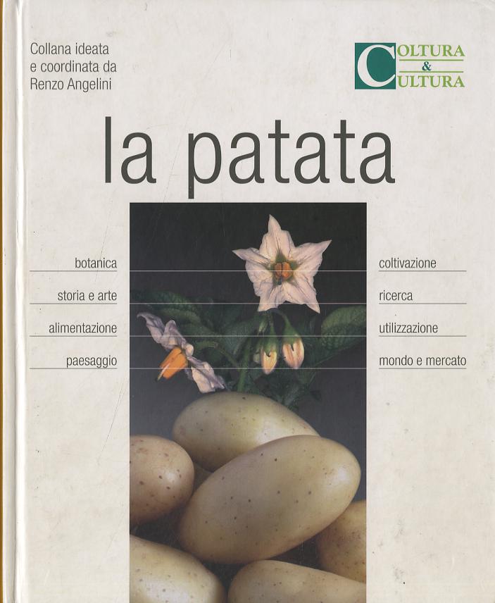 Patata