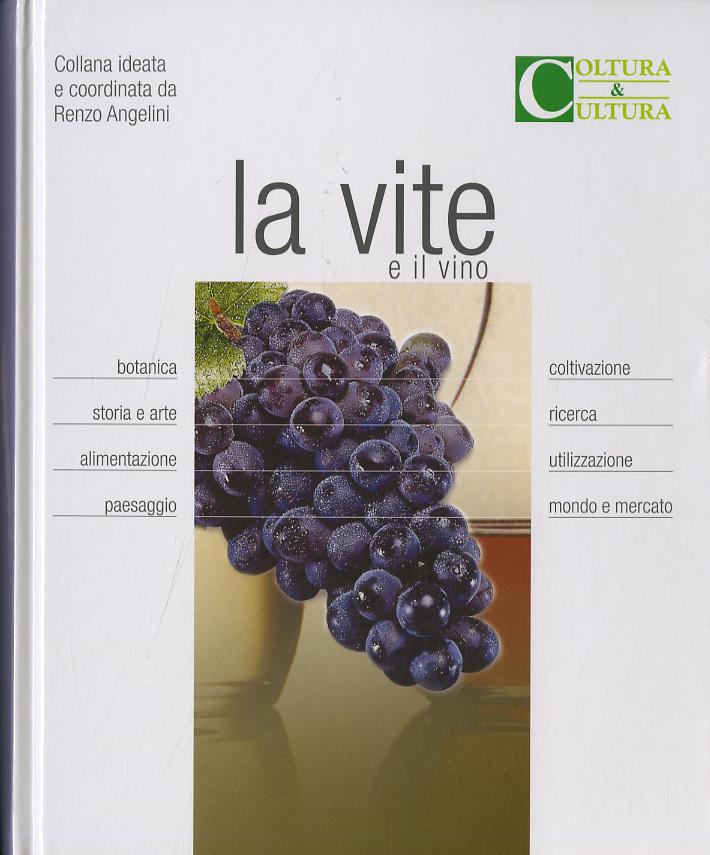 Vite e il vino