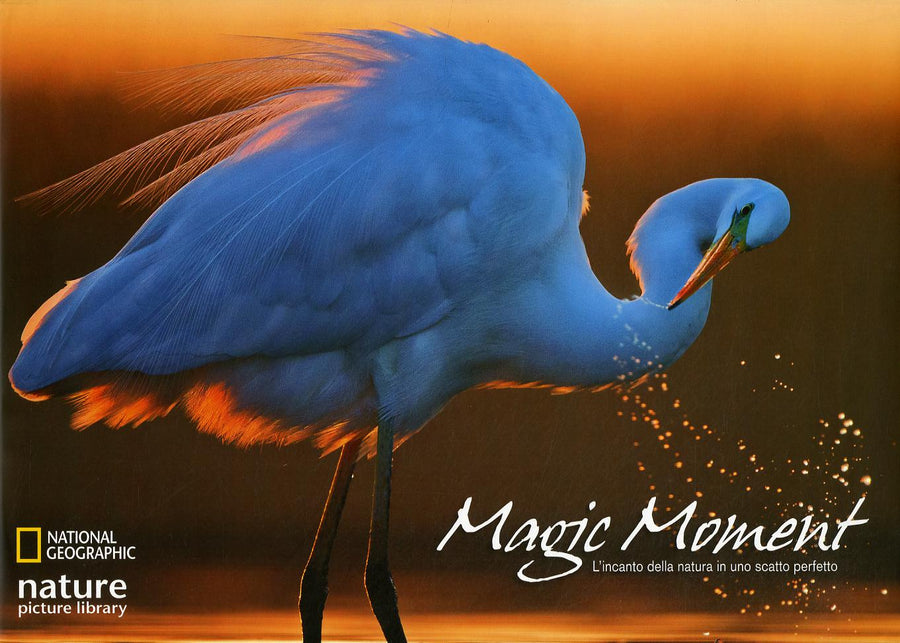 Magic moment. L incanto della natura in uno scatto perfetto. Ediz. a colori