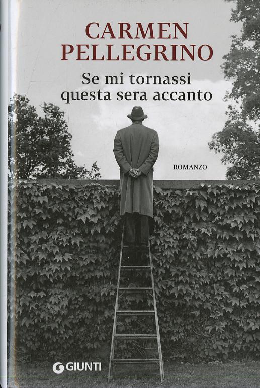 Se mi tornassi questa sera accanto