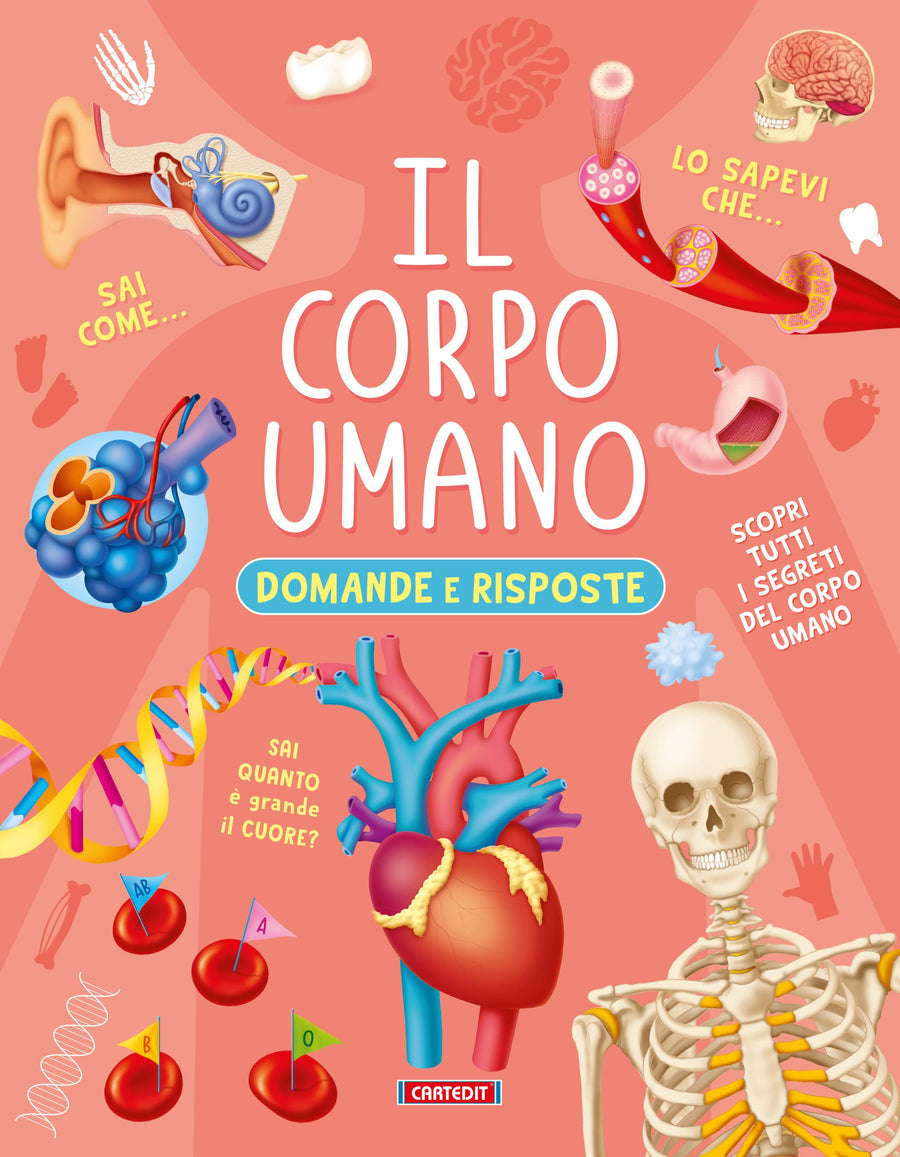 Corpo umano - domande e risposte, i