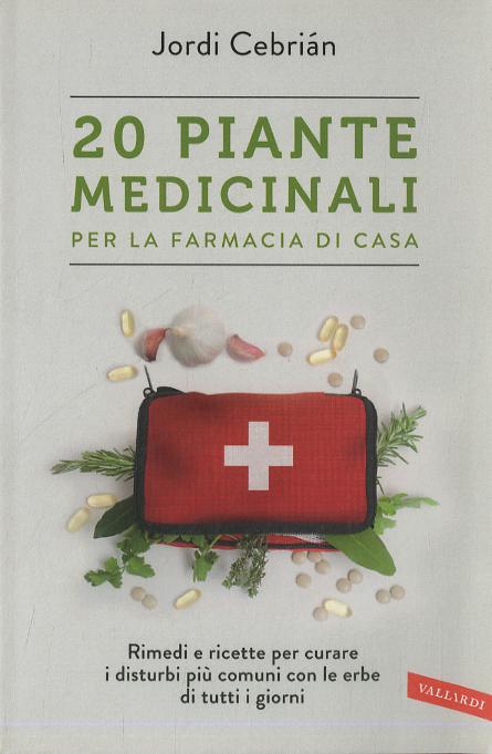 20 piante medicinali per la farmacia di casa