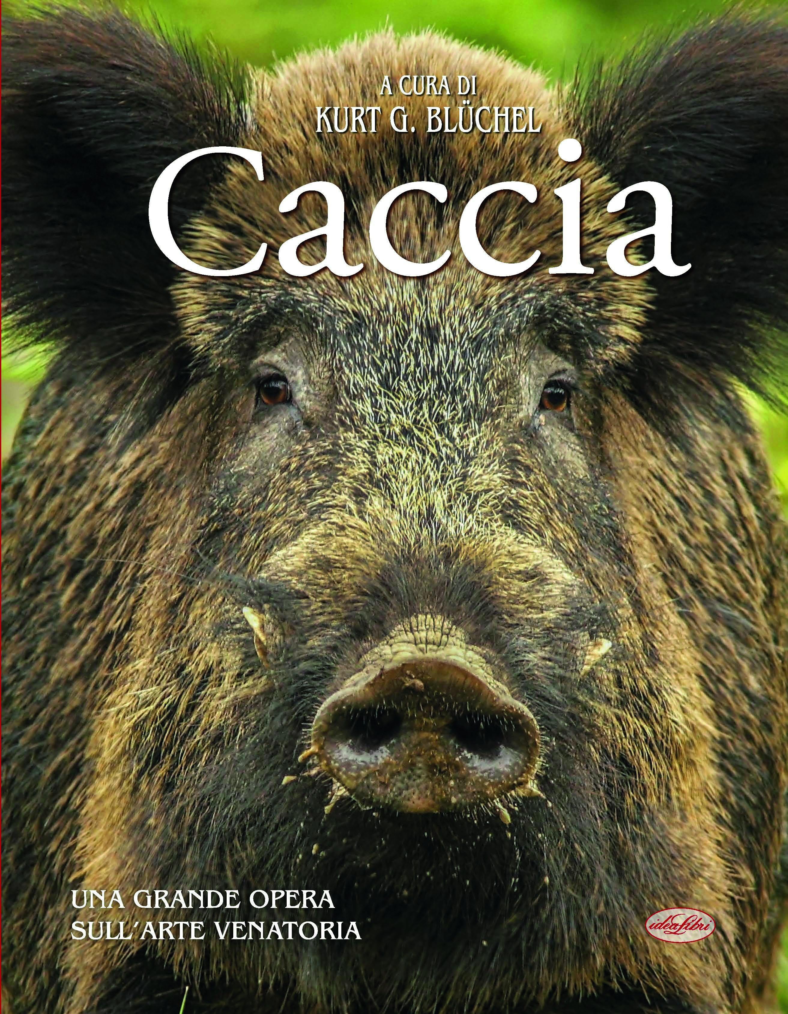 Caccia
