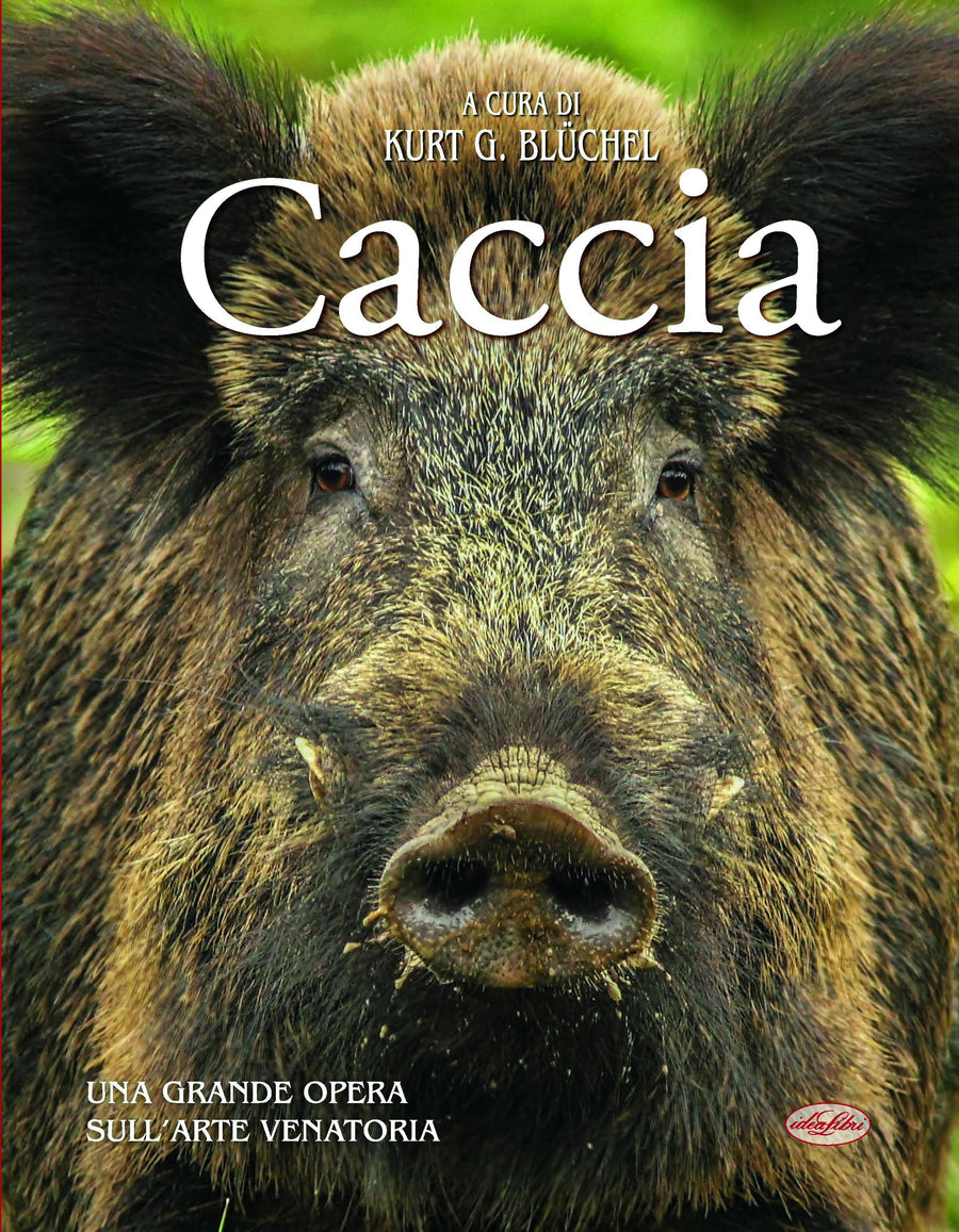 Caccia