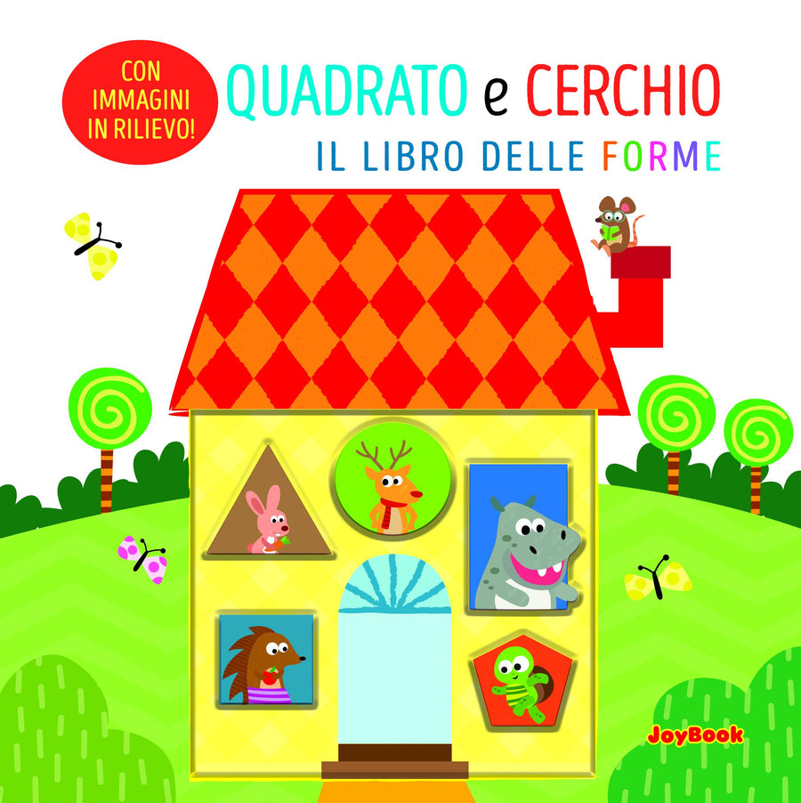 Quadrato e cerchio. Il libro delle forme. Ediz. a colori
