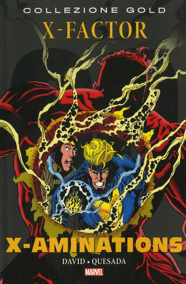 X-factor-x-aminations