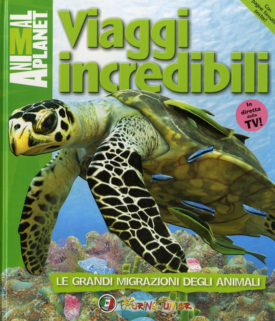 Viaggi incredibili