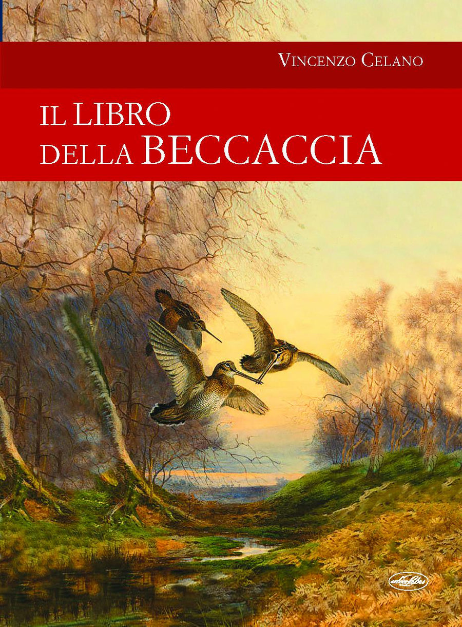 Libro della beccaccia