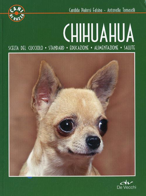 Chihuahua