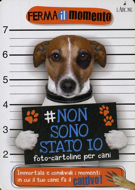 Non sono stato io. Foto-cartoline per cani