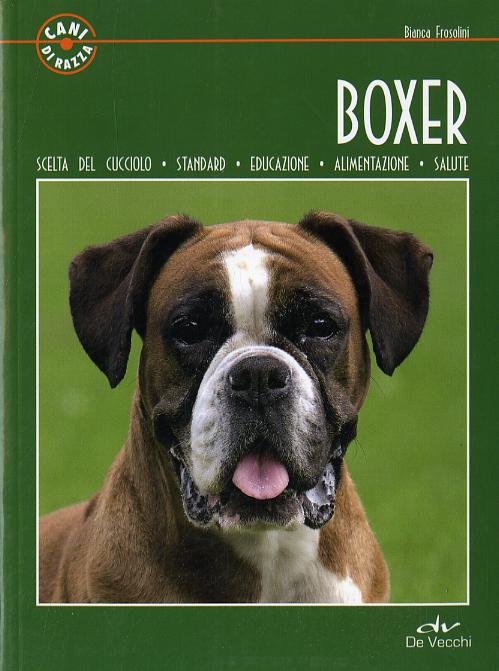 Boxer